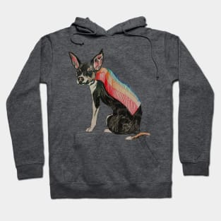 Pride Puppy Hoodie